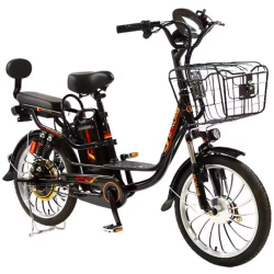 Elektro Velosiped XF22DN 48V10A 350W (153-1) - 1