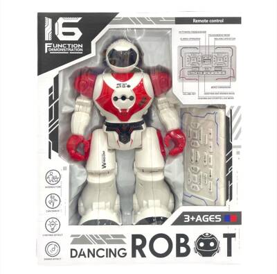 Robot 311-2/606-29 (304-1017) - 1