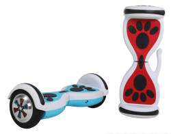 Segway S-8 qulplu - 1